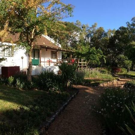 Mooi Bly Villa Paarl Ngoại thất bức ảnh