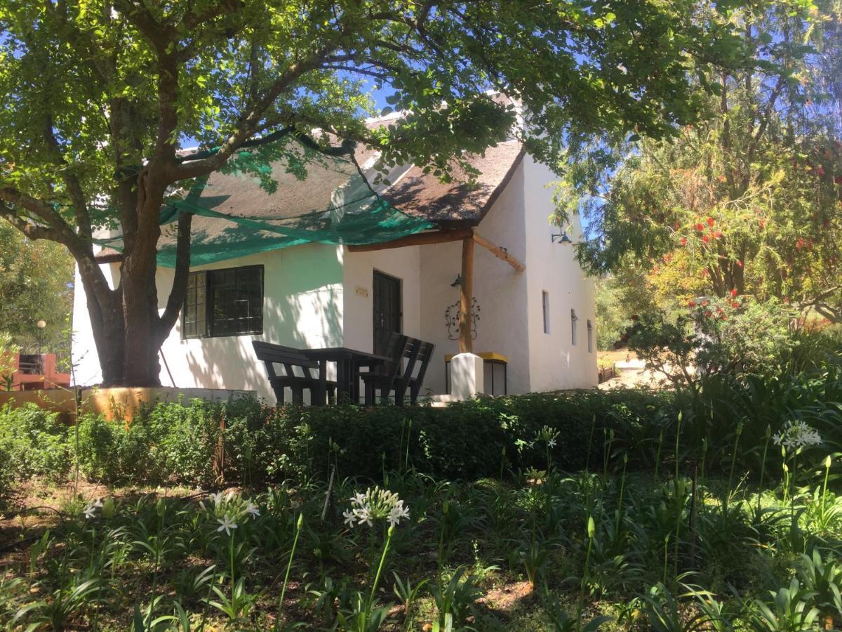 Mooi Bly Villa Paarl Ngoại thất bức ảnh