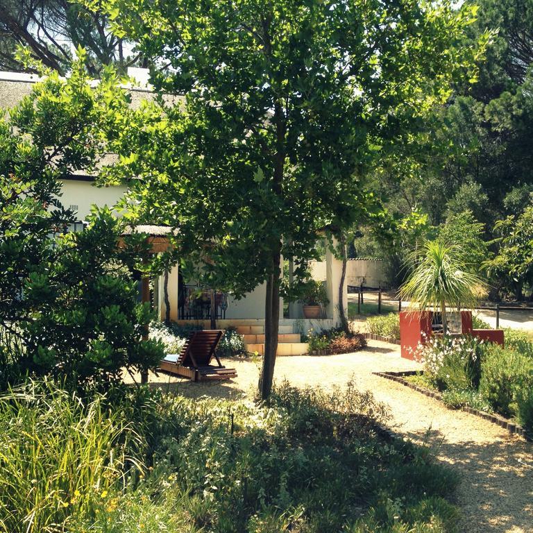 Mooi Bly Villa Paarl Phòng bức ảnh