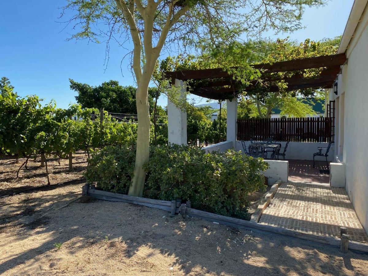 Mooi Bly Villa Paarl Ngoại thất bức ảnh
