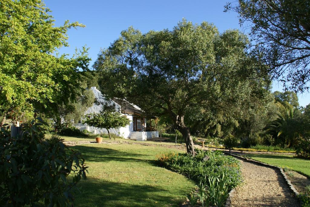 Mooi Bly Villa Paarl Ngoại thất bức ảnh