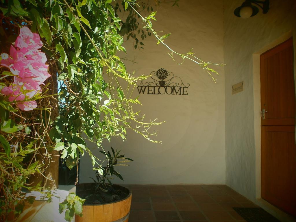 Mooi Bly Villa Paarl Ngoại thất bức ảnh