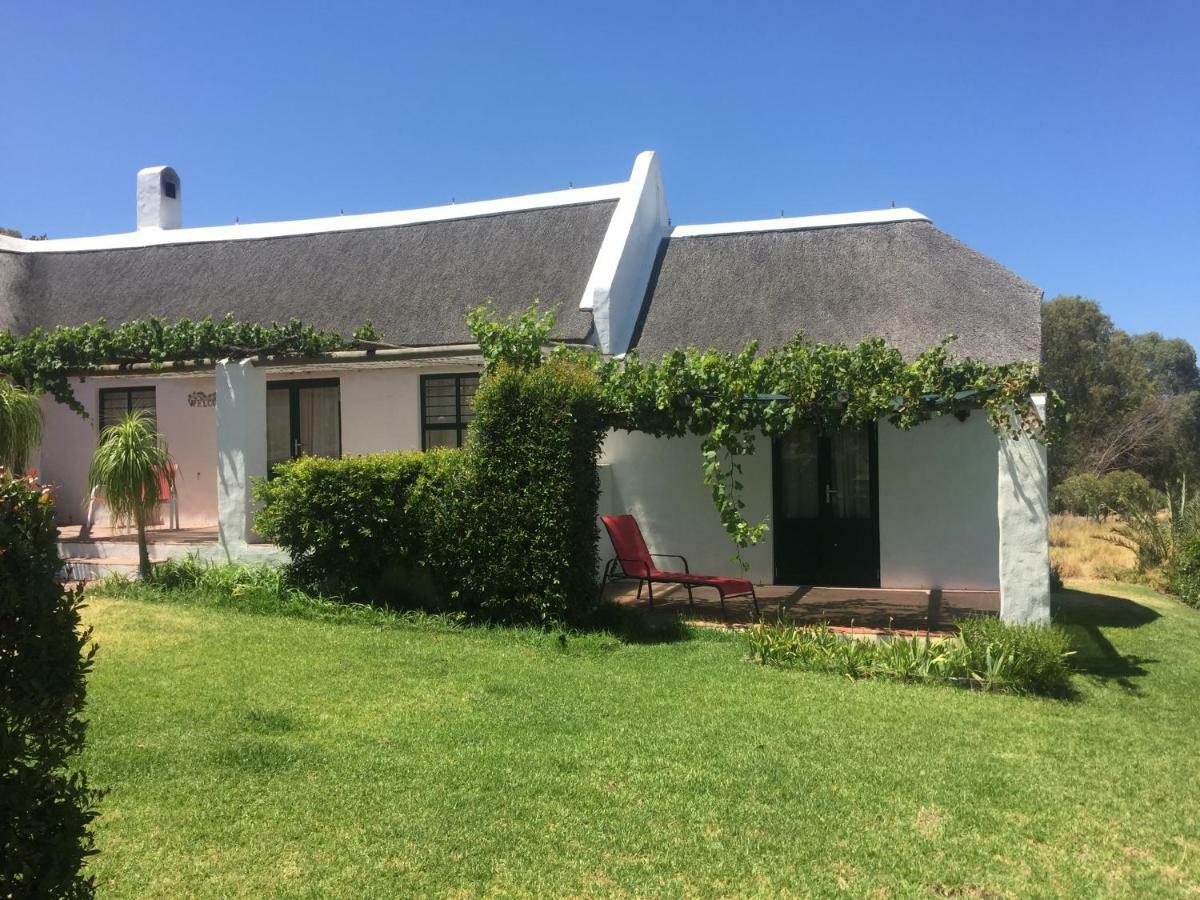 Mooi Bly Villa Paarl Ngoại thất bức ảnh