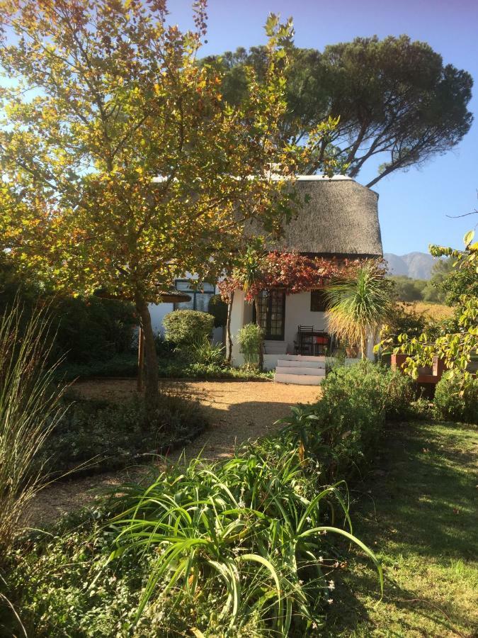 Mooi Bly Villa Paarl Ngoại thất bức ảnh
