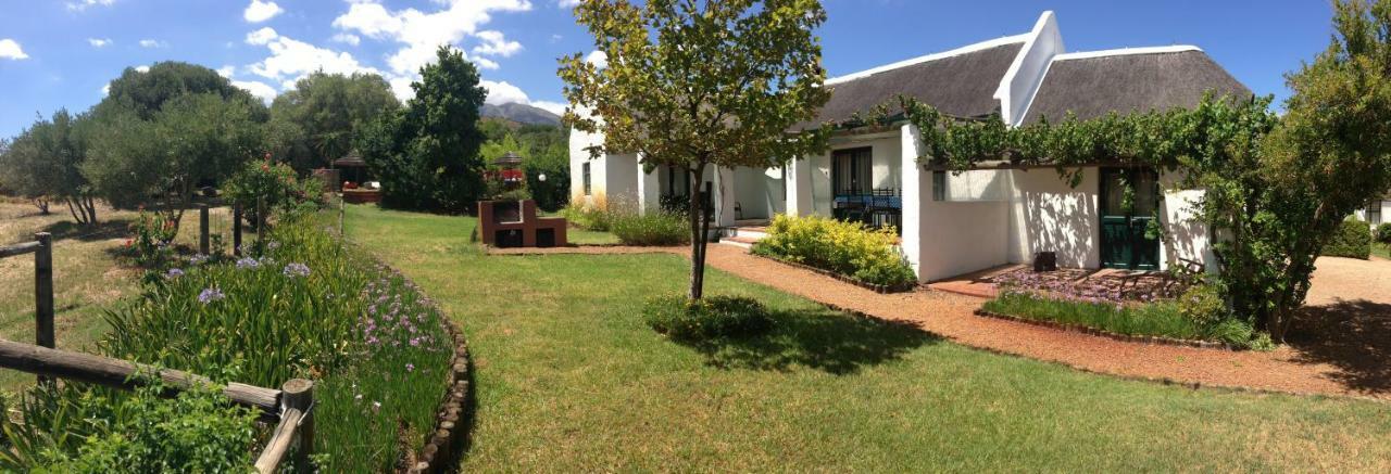 Mooi Bly Villa Paarl Ngoại thất bức ảnh