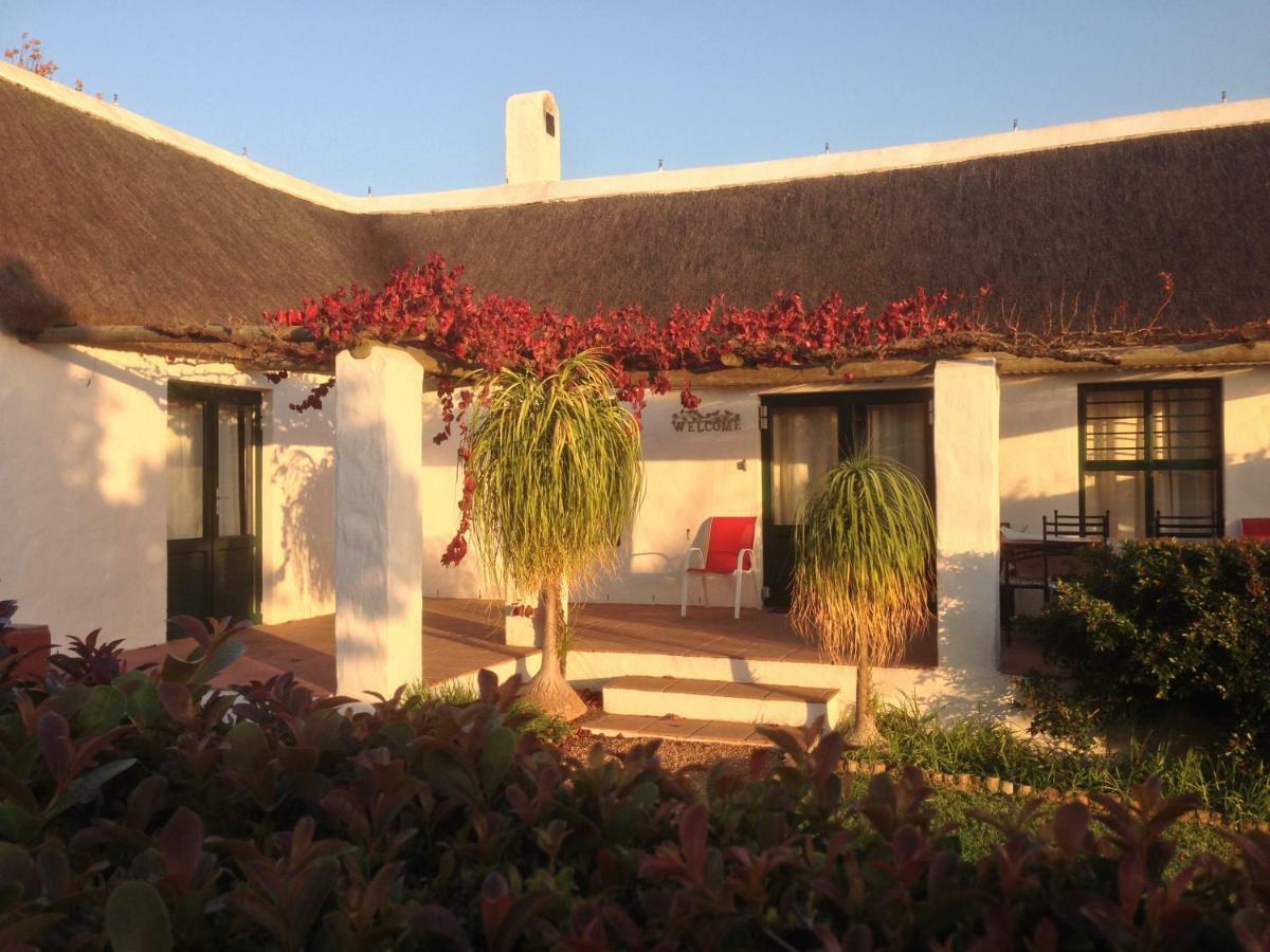 Mooi Bly Villa Paarl Ngoại thất bức ảnh