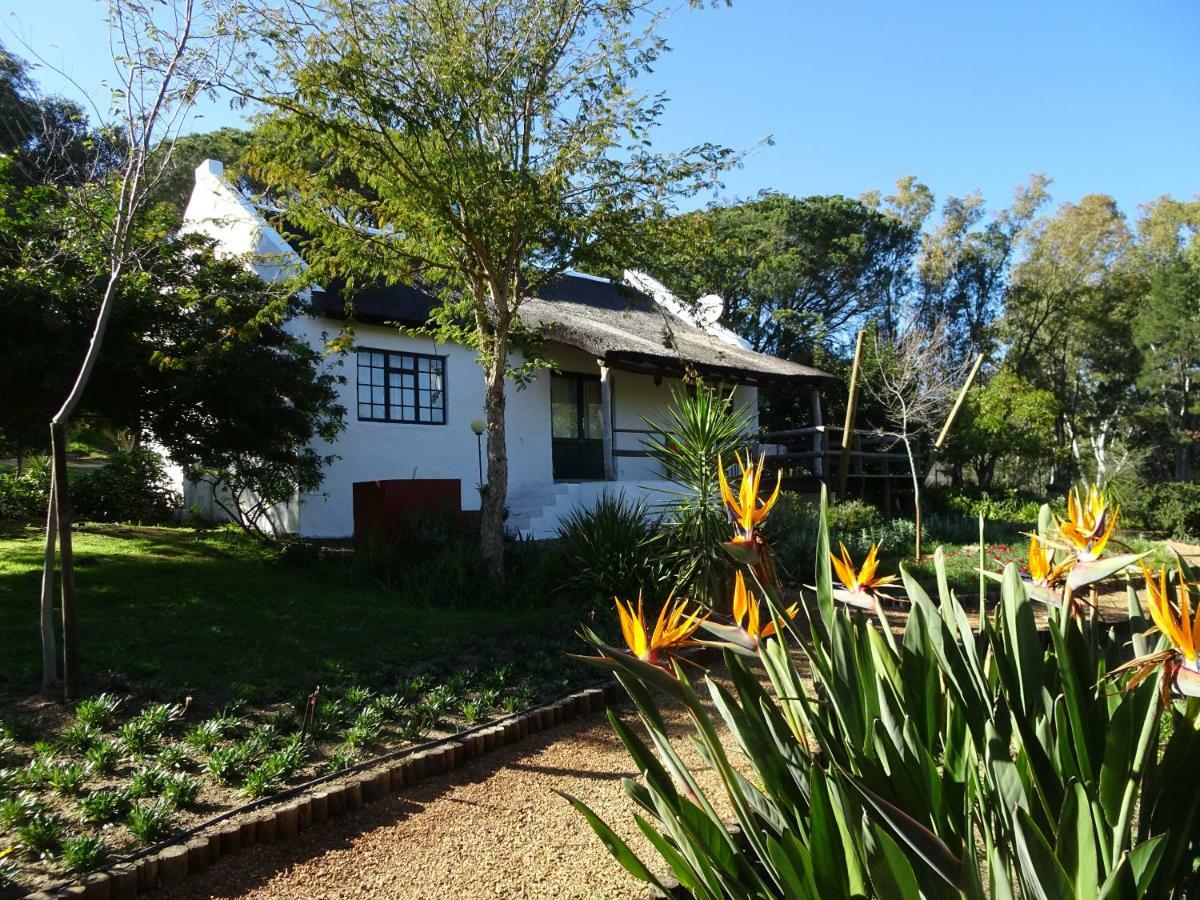Mooi Bly Villa Paarl Ngoại thất bức ảnh