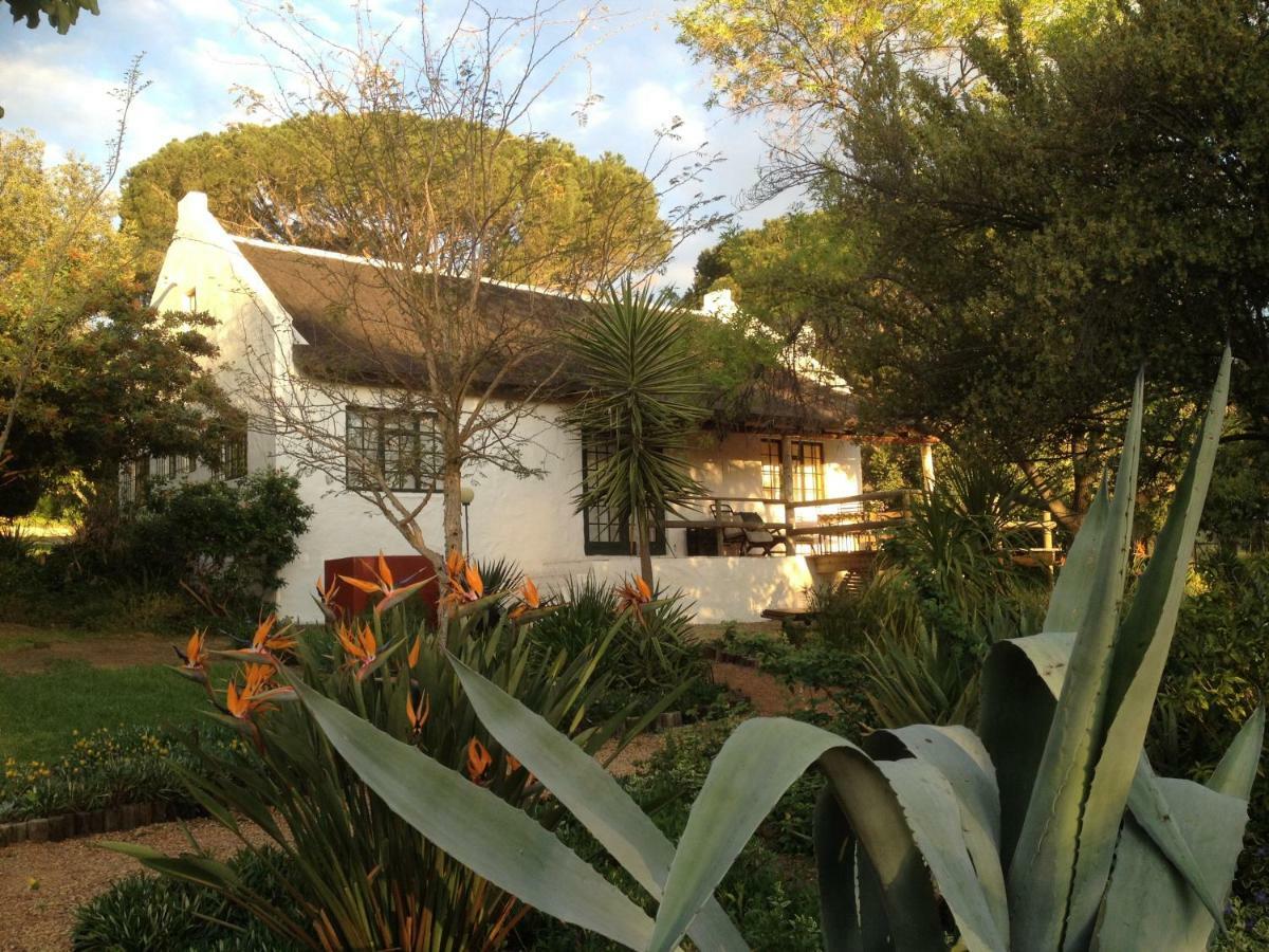 Mooi Bly Villa Paarl Ngoại thất bức ảnh